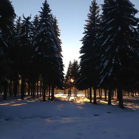 Rez De Jardin * La Bourboule